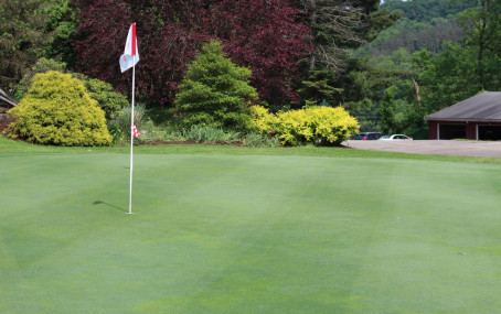 Scarlett Lynn, 28, United States