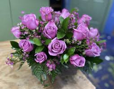 Ann Howes, 38, United States