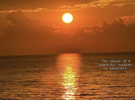 Dwyanejessica21, 29, United States