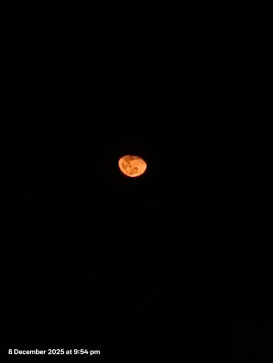 Batmannnn, 20, Netherlands