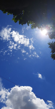 Loretta Dan, 29, United States