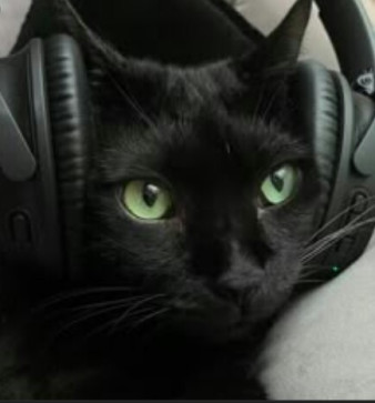 Melod Drummer, 18, United States