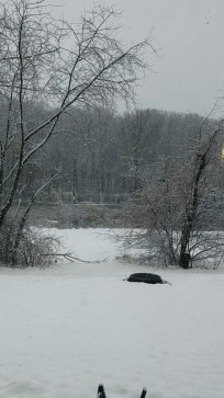 Smiley, 25, United States