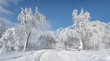 Gill, 18, United States