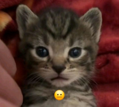 Silaa Danin Safana, 18, Indonesia