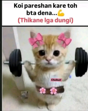 Fog Everywhere, 22, India