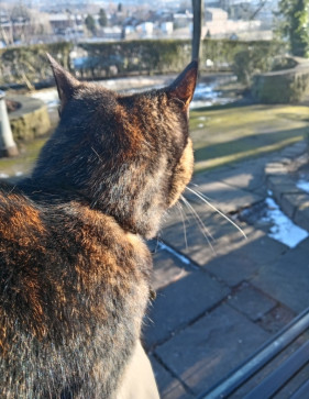 Sasssyy, 18, United Kingdom