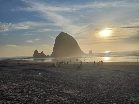 Channel, 56, United States