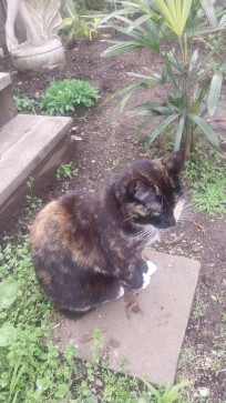 Megan Kennett, 18, Australia