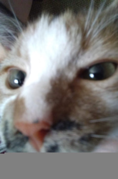 Lili, 18, United States