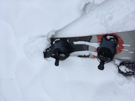 Addie Stop Deleting, 32, United States