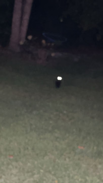 Bue025, 22, United States