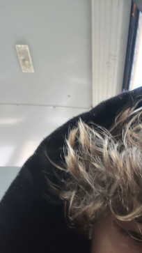 AyBeeSee, 23, Poland