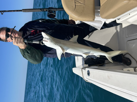 FriendlyTom, 45, United States