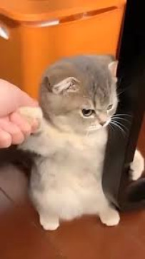 Aliana, 25, Philippines