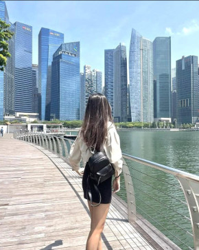 Dhana Santini