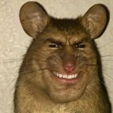 0_0