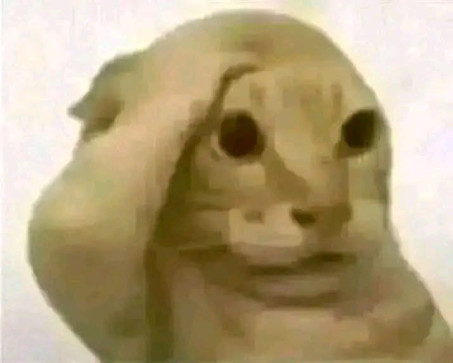 Twcc