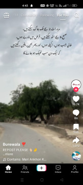Saim5