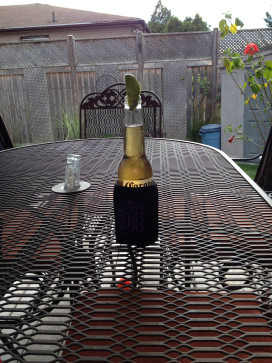 Tye