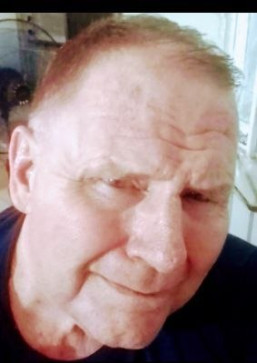 Bob Collins