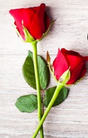 Raj, 49, India