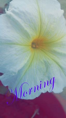 Maddie, 99, United States