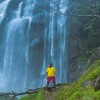 Thavish