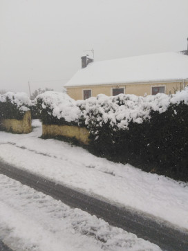 Jay Jay, 51, Ireland