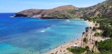 Tom, 62, United States