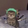 Teddy, 22, United States