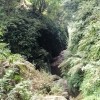 S_U_M_A_N, 30, Nepal