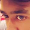 Insan