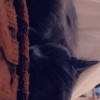 Tobi, 24, France