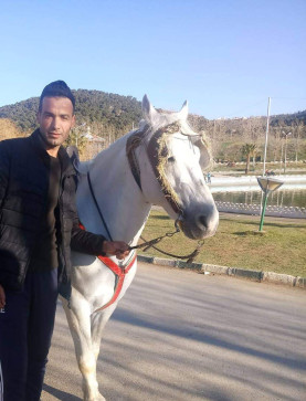 Yacine, 35, Morocco