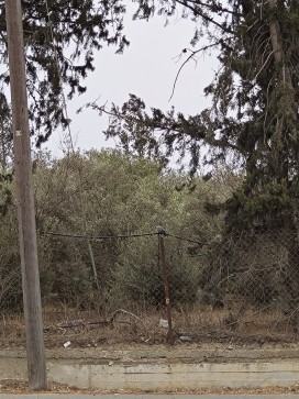 Heyyyy, 30, United Kingdom