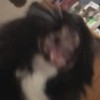 Jon
