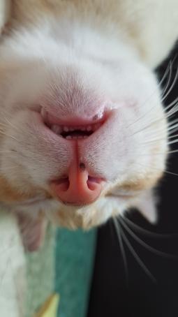 Scarlet, 18, Philippines