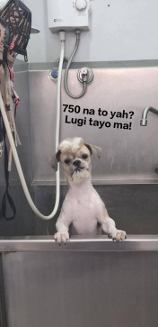 Eren, 30, Philippines