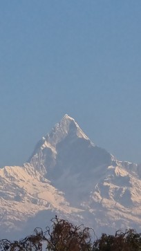 Shriya, 37, Nepal