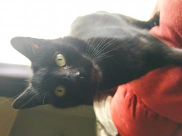 Matt, 99