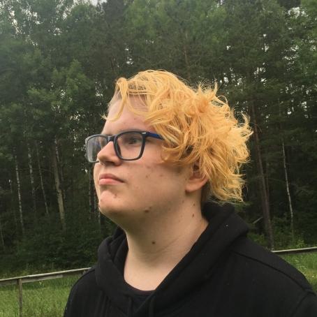 Arvid , 22, Sweden