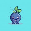 Blueberry