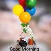 Riyansh