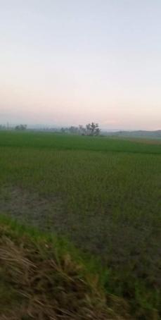 RQ46, 49, Philippines