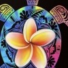 PLUMERIA 