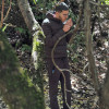 Hamza
