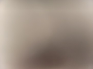 , 19, United States
