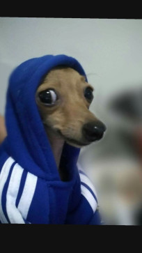 A R Y A N , 18, India