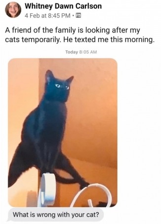 Sandra, 29, Denmark